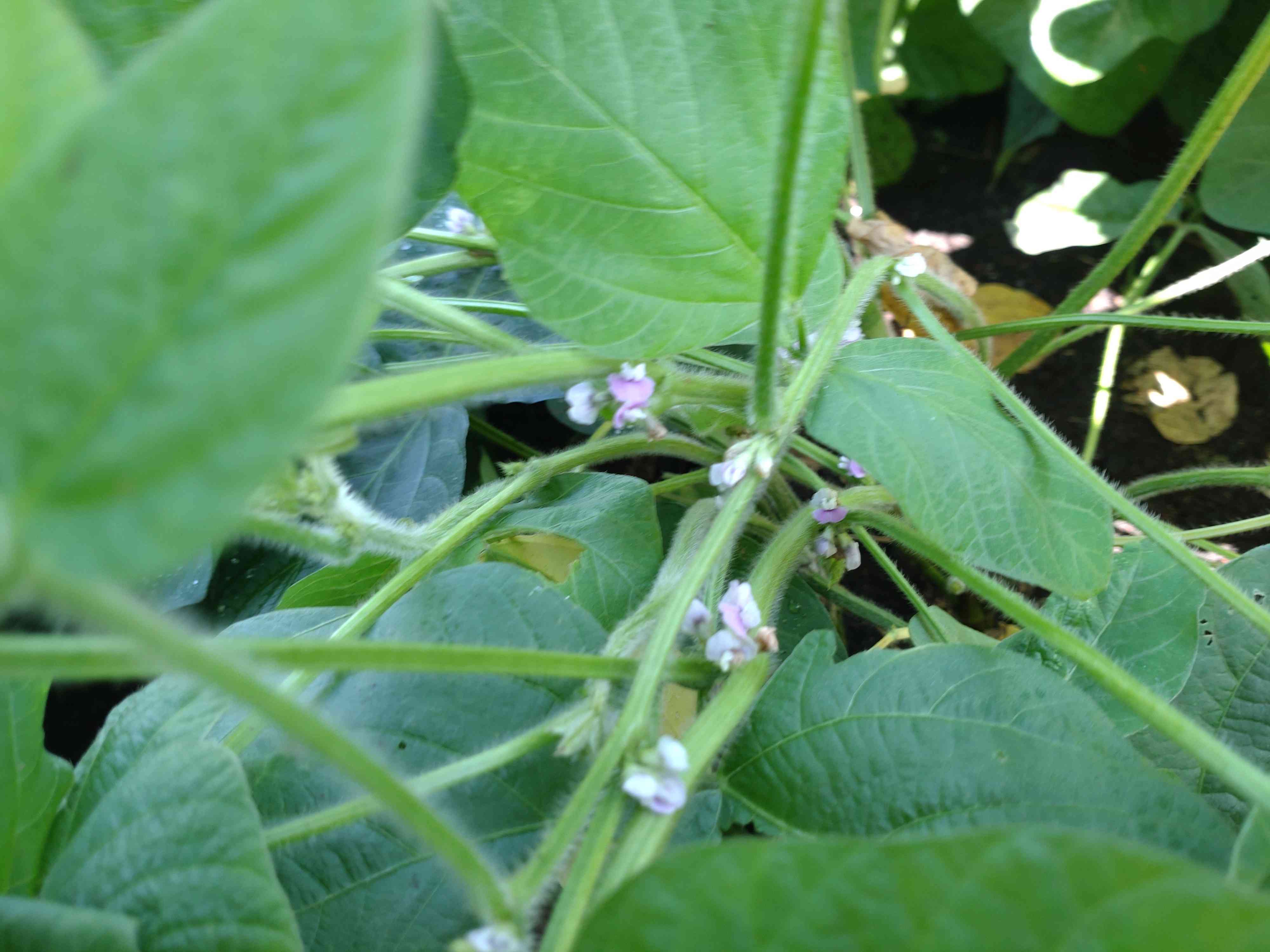８月１９日（火）③