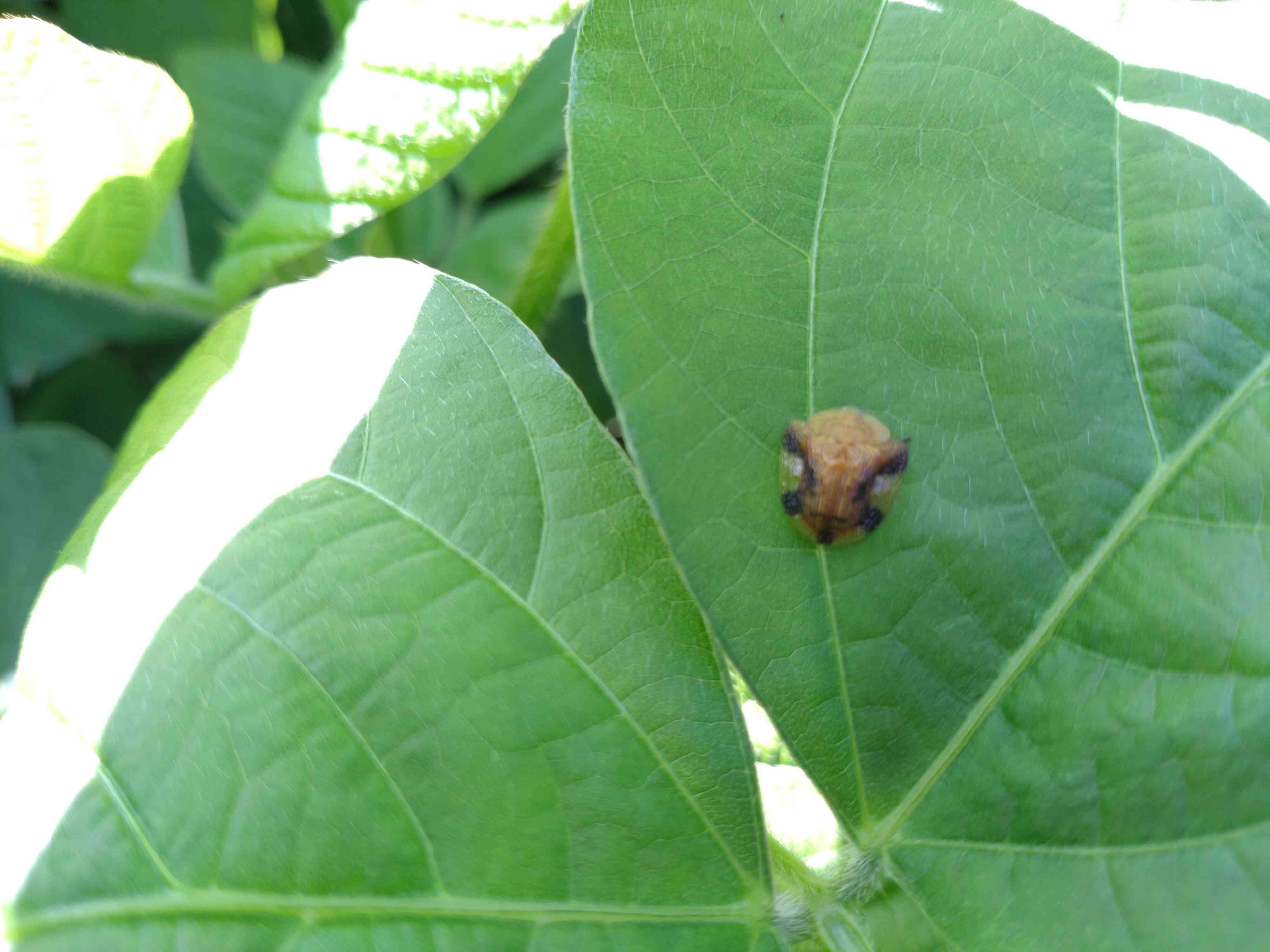 ８月１９日（火）②